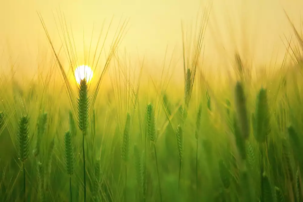 Zákoník Práce Překážka Na Straně Zaměstnavatele